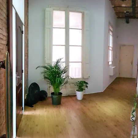 Homestay Citycenter Barcelona